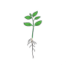 Plantator de răsaduri cu clești SOLAN S-241