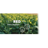 Bio-RED
