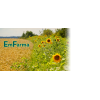 EmFarma